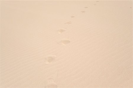 fuerteventura canary islands - Footprints in the dune, Fuerteventura Island, Spain Stock Photo - Budget Royalty-Free & Subscription, Code: 400-04130893