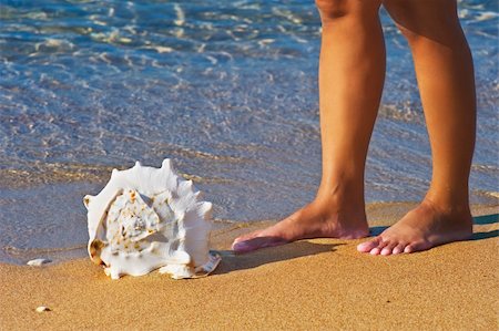 simsearch:6108-06907274,k - A seashell lying on a golden Mediterranean beach with a person, whose legs are only visible, standing next to it Foto de stock - Super Valor sin royalties y Suscripción, Código: 400-04133137