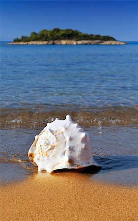 summer beach postcard - A seashell lying on a golden Mediterranean sandy beach with a small island in the background Stock Photo - Budget Royalty-Free & Subscription, Code: 400-04133138