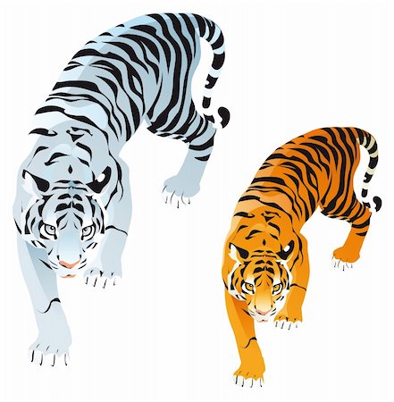 snarling tiger picture - Tigers- Cartoon and vector animals Stock Photo - Budget Royalty-Free & Subscription, Code: 400-04133177