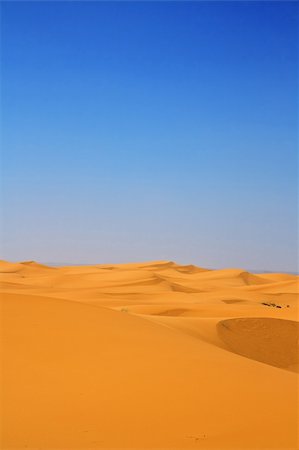 simsearch:400-04173967,k - sand dunes, Erg Chebbi, Morocco, focus set in foreground Fotografie stock - Microstock e Abbonamento, Codice: 400-04133946