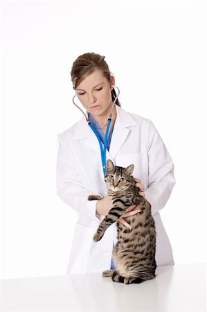 Beautiful Caucasian woman Veterinarian examining a kitten Stock Photo - Budget Royalty-Free & Subscription, Code: 400-04144326
