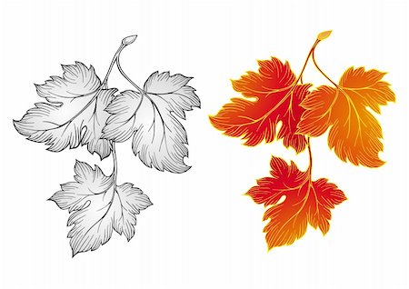 Autumn leaves vector Stock Photo - Budget Royalty-Free & Subscription, Code: 400-04144359