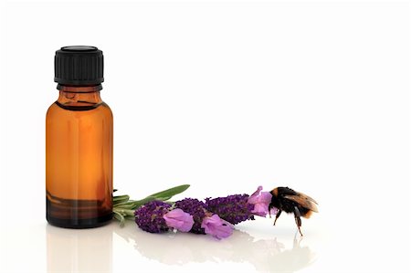 simsearch:400-07175956,k - Lavender herb flowers with a bumble bee and aromatherapy essential oil glass bottle, over white background. Stock Photo - Budget Royalty-Free & Subscription, Code: 400-04146524