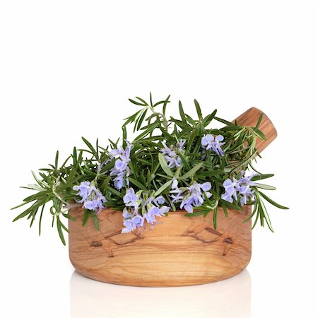 simsearch:400-04085229,k - Rosemary herb in flower in an olive wood mortar with pestle, over white background. Foto de stock - Royalty-Free Super Valor e Assinatura, Número: 400-04146528