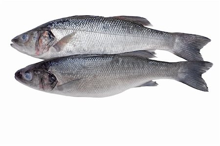 close-ups of two sea bass fish isolated on white Foto de stock - Super Valor sin royalties y Suscripción, Código: 400-04147047