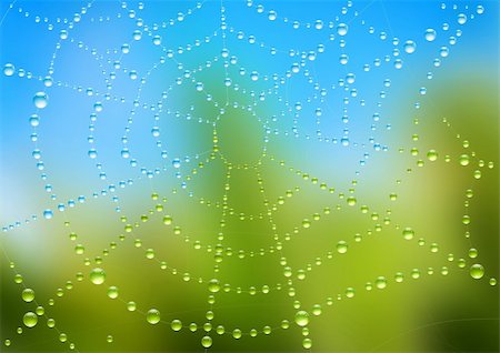 A vector illustration of water dew on a spider web. Defocused spider in the background. Foto de stock - Super Valor sin royalties y Suscripción, Código: 400-04147650