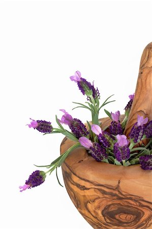 simsearch:400-05372314,k - Lavender herb flowers in an olive wood mortar with pestle, over white background. Stockbilder - Microstock & Abonnement, Bildnummer: 400-04148939