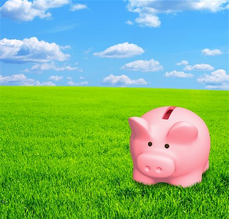 simsearch:400-08160410,k - Piggy bank on a summer meadow Stockbilder - Microstock & Abonnement, Bildnummer: 400-04149693