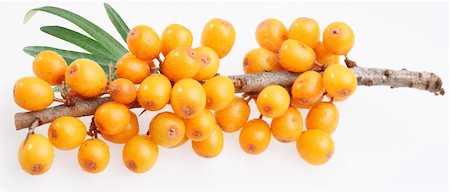 Sea buckthorn on a white background Stock Photo - Budget Royalty-Free & Subscription, Code: 400-04141038