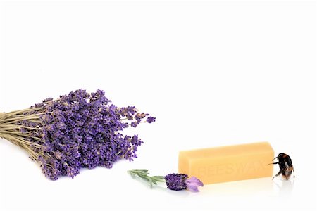 Dried lavender herb in a bunch with fresh flowers and a bumble bee next to a beeswax block, over white background. Stock Photo - Budget Royalty-Free & Subscription, Code: 400-04141310