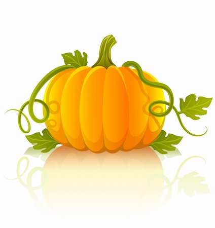 orange pumpkin vegetable with green leaves - vector illustration of object isolated on white background Stock Photo - Budget Royalty-Free & Subscription, Code: 400-04141332