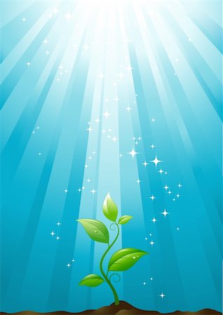 protection vector - conceptual illustration of a small plant growing towards the sun Stock Photo - Budget Royalty-Free & Subscription, Code: 400-04141595