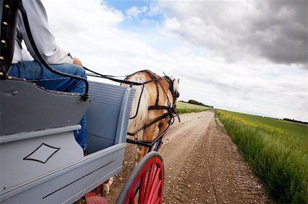 simsearch:862-06542613,k - A horse pulling a cart accross a beautiful Saskatchewan landscape Stock Photo - Budget Royalty-Free & Subscription, Code: 400-04143532