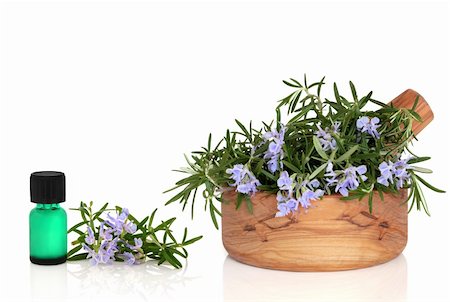simsearch:400-04348087,k - Rosemary herb leaves and flowers in an olive wood mortar with pestle and aromatherapy oil glass dropper  bottle, over white background with reflection. Stock Photo - Budget Royalty-Free & Subscription, Code: 400-04154049