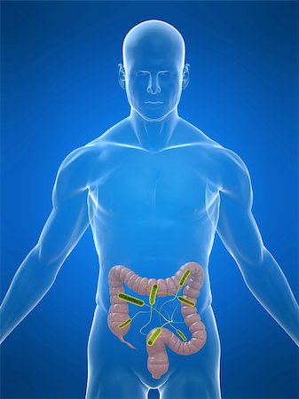 simsearch:400-04069227,k - 3d rendered illustration of a human body shape with bacteria in intestines Stockbilder - Microstock & Abonnement, Bildnummer: 400-04154356