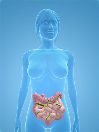 simsearch:400-04163509,k - 3d rendered illustration of a human body shape with bacteria in intestines Fotografie stock - Microstock e Abbonamento, Codice: 400-04154352