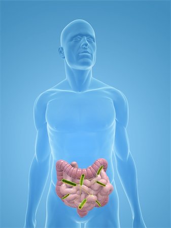 3d rendered illustration of a human body shape with bacteria in intestines Foto de stock - Super Valor sin royalties y Suscripción, Código: 400-04154353