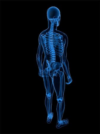 simsearch:400-05715953,k - 3d rendered x-ray illustration of a human skeleton Stock Photo - Budget Royalty-Free & Subscription, Code: 400-04154398