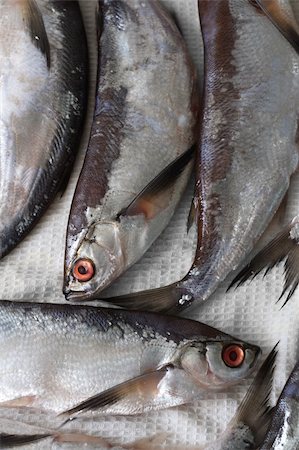 Several sabrefish (Pelecus cultratus) on fabric Stockbilder - Microstock & Abonnement, Bildnummer: 400-04155224