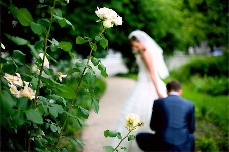 A wedding etude is in colors Photographie de stock - Aubaine LD & Abonnement, Code: 400-04155240