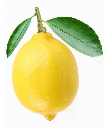 Lemon with leaves on a white background Foto de stock - Royalty-Free Super Valor e Assinatura, Número: 400-04155265