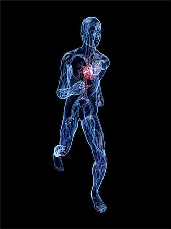 simsearch:400-04103615,k - 3d rendered illustrtaion of a transparent jogger with vascular system Foto de stock - Super Valor sin royalties y Suscripción, Código: 400-04155342