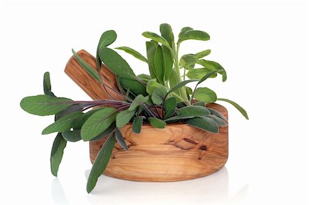 simsearch:400-04348087,k - Sage herb leaf varieties of purple, green and variegated, in an olive wood mortar with pestle, over white background. Stock Photo - Budget Royalty-Free & Subscription, Code: 400-04155530