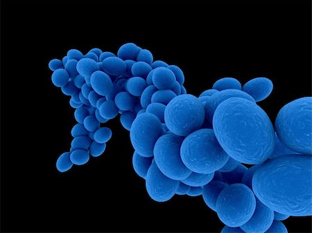 simsearch:400-04157099,k - 3d rendered close up of isolated staphylococcus bacteria Stock Photo - Budget Royalty-Free & Subscription, Code: 400-04157067