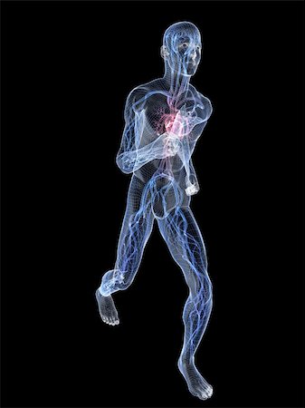simsearch:400-04103615,k - 3d rendered illustration of a transparent jogger with vascular system Stock Photo - Budget Royalty-Free & Subscription, Code: 400-04157175