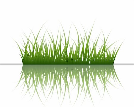 simsearch:400-04804407,k - Vector grass silhouettes background with reflection in water. All objects are separated. Stock Photo - Budget Royalty-Free & Subscription, Code: 400-04159922