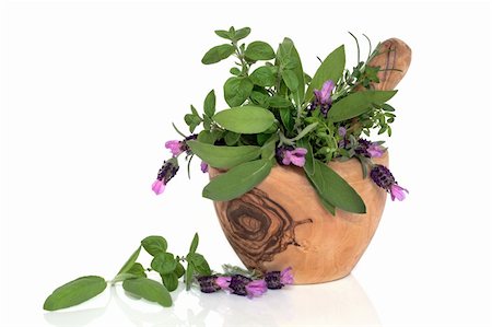 simsearch:600-03171573,k - Lavender flowers and mixed herb leaves in an olive wood mortar with pestle,  over white background. Stockbilder - Microstock & Abonnement, Bildnummer: 400-04150132
