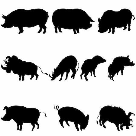 simsearch:400-04199391,k - Collection of pigs and boars silhouettes. Vector illustration. Foto de stock - Super Valor sin royalties y Suscripción, Código: 400-04150455