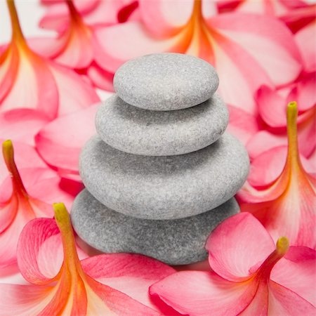 simsearch:400-04640528,k - Stack of white pebbles surrounded by Frangipani flowers Stock Photo - Budget Royalty-Free & Subscription, Code: 400-04150521