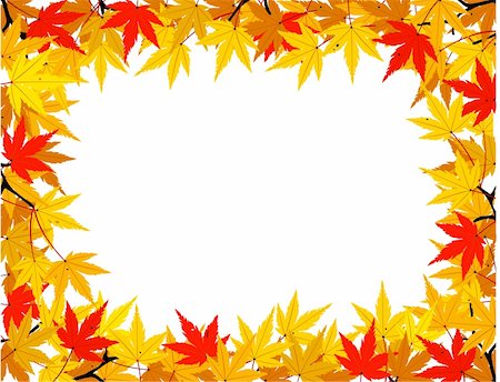 Autumn leaf Stock Photo - Budget Royalty-Free & Subscription, Code: 400-04153173