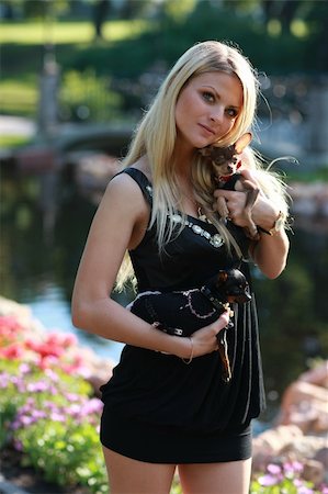 Girl with her friends - cute small dogs Stock Photo - Budget Royalty-Free & Subscription, Code: 400-04153684