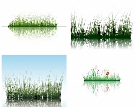 simsearch:400-04804407,k - Vector grass silhouettes backgrounds set with reflection in water. All objects are separated. Stock Photo - Budget Royalty-Free & Subscription, Code: 400-04164231