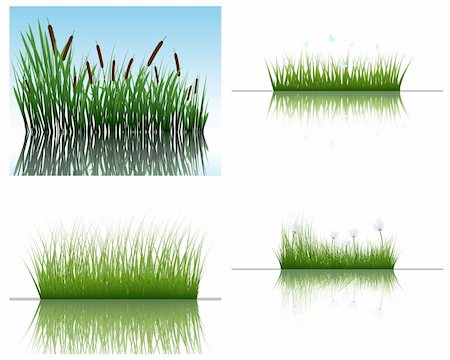 simsearch:400-04804407,k - Vector grass silhouettes backgrounds set with reflection in water. All objects are separated. Stock Photo - Budget Royalty-Free & Subscription, Code: 400-04164232