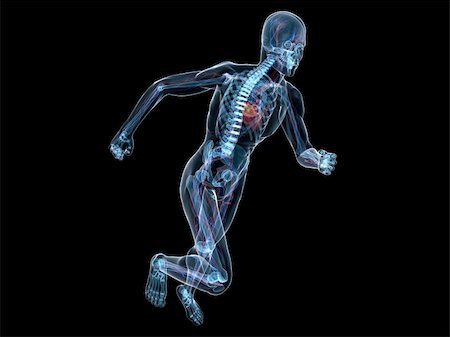 simsearch:400-04103615,k - 3d rendered x-ray illustration of a running skeleton with vascular system Foto de stock - Super Valor sin royalties y Suscripción, Código: 400-04164419