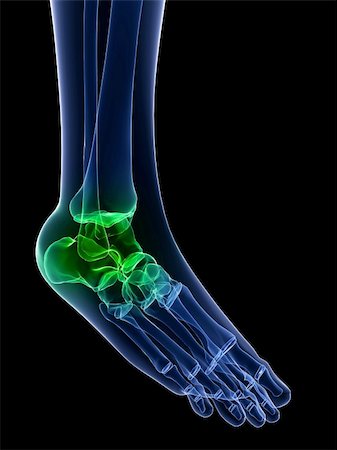 3d rendered x-ray illustration of a foot with highlighted joint Stock Photo - Budget Royalty-Free & Subscription, Code: 400-04164425