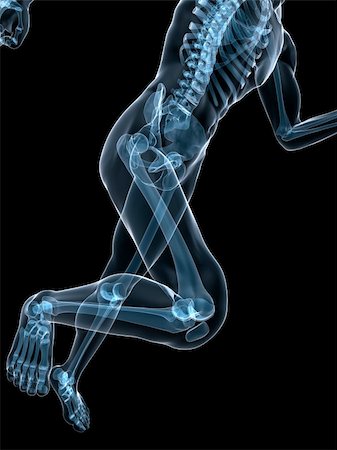 3d rendered x-ray illustration of a running skeleton Foto de stock - Super Valor sin royalties y Suscripción, Código: 400-04164498