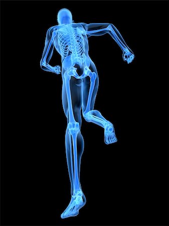 simsearch:400-04191168,k - 3d rendered x-ray illustration of a running skeleton Stock Photo - Budget Royalty-Free & Subscription, Code: 400-04164502