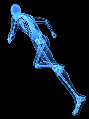 simsearch:400-04191168,k - 3d rendered x-ray illustration of a running skeleton Stock Photo - Budget Royalty-Free & Subscription, Code: 400-04164503