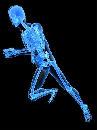 simsearch:400-04191168,k - 3d rendered x-ray illustration of a running skeleton Stock Photo - Budget Royalty-Free & Subscription, Code: 400-04164562