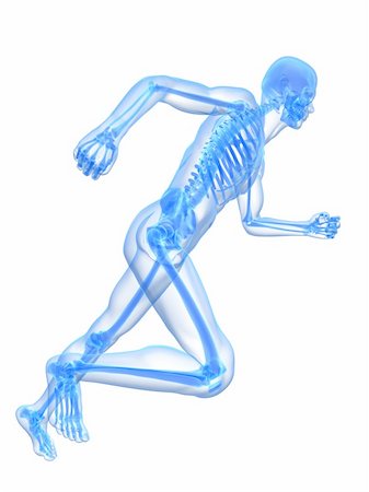 simsearch:400-04191168,k - 3d rendered x-ray illustration of a running skeleton Stock Photo - Budget Royalty-Free & Subscription, Code: 400-04164575