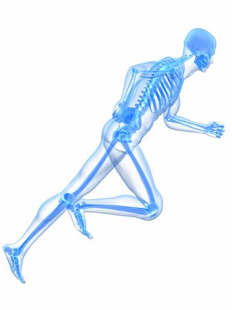 simsearch:400-04191168,k - 3d rendered x-ray illustration of a running skeleton Stock Photo - Budget Royalty-Free & Subscription, Code: 400-04164573