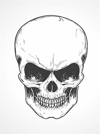 simsearch:400-04824832,k - Vector illustration of detailed human skull Foto de stock - Royalty-Free Super Valor e Assinatura, Número: 400-04165896