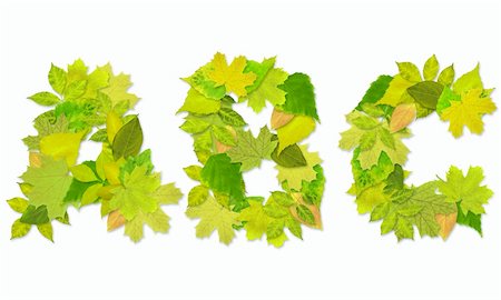 simsearch:400-04624185,k - Alphabet - letters with a green leaves. Set 1 Stock Photo - Budget Royalty-Free & Subscription, Code: 400-04166336