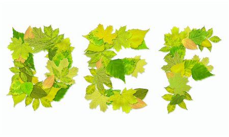simsearch:400-04624185,k - Alphabet - letters with a green leaves. Set 2 Stock Photo - Budget Royalty-Free & Subscription, Code: 400-04166338