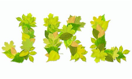 simsearch:400-04624185,k - Alphabet - letters with a green leaves. Set 4 Stock Photo - Budget Royalty-Free & Subscription, Code: 400-04166341